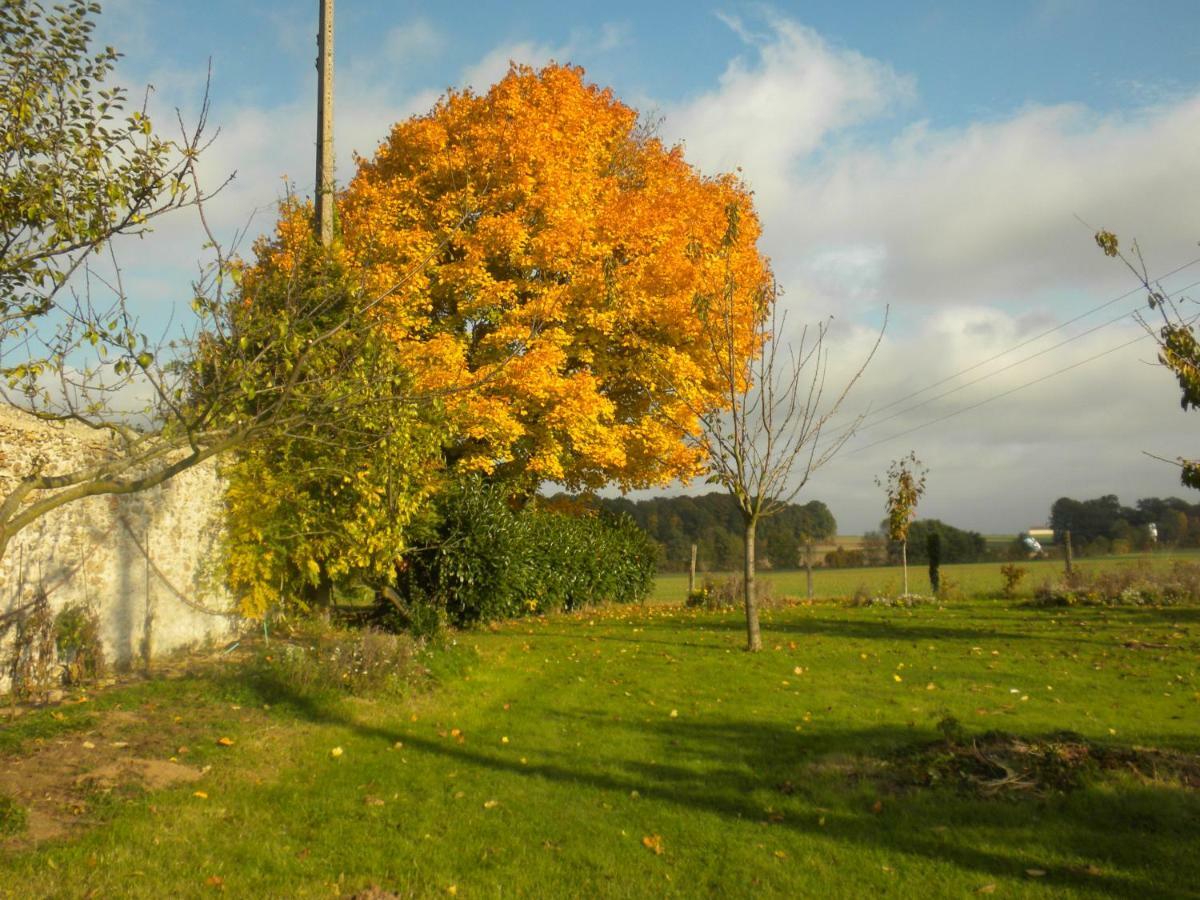 La Ferté-Gaucher La Ferme Le Merger B&B 외부 사진
